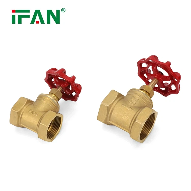 Brass Gate Valve (53)